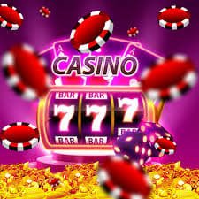 bet 555